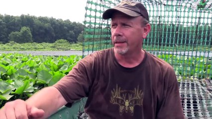 The Legend of Lost Lake (Part 2) - Dragon Tails Episode 4