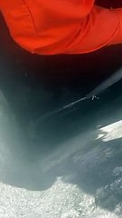 Vídeo mostra cachorro sendo resgatado de dentro de cisterna