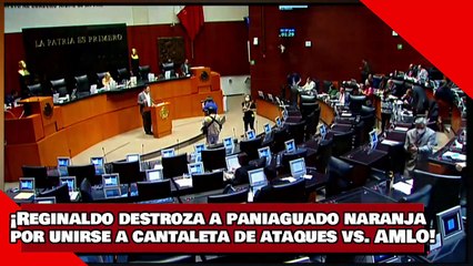 ¡VEAN! ¡Reginaldo destroza a paniaguado naranja por unirse a la cantaleta de ataques vs. AMLO!