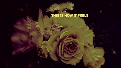 d4vd - This Is How It Feels (Lyric Video)