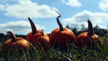 17 后浪2023第17-18集：赵露思精彩表现🔥