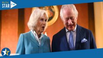 Charles et Camilla parents d’un fils caché ? Ces révélations “explosives” qui interrogent