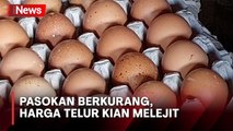 Kian Melambung! Harga Telur Ayam Ukuran Jumbo di Karangasem Tembus Rp62.000 per Krat