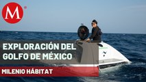 Así fue la investigación de Greenpeace en el Golfo de México | Milenio Hábitat