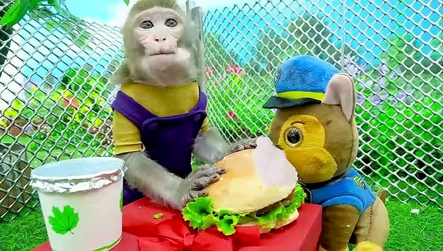 Baby Monkey KiKi goes to buy fast food at supermarket and eat yummy with puppy _ KUDO ANIMAL KIKI