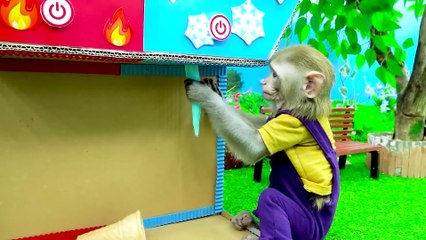 KiKi Monkey try to get Miniature Fruits Lollipop Sweet Candy from the supermarket _ KUDO ANIMAL KIKI