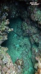 Fearless Divers Dive Into A 'Scary, Tiny Cave' || Best of Internet