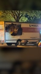 백악관 돌진 시도 19세 네오나치 지지자, 대통령 위협 🚨