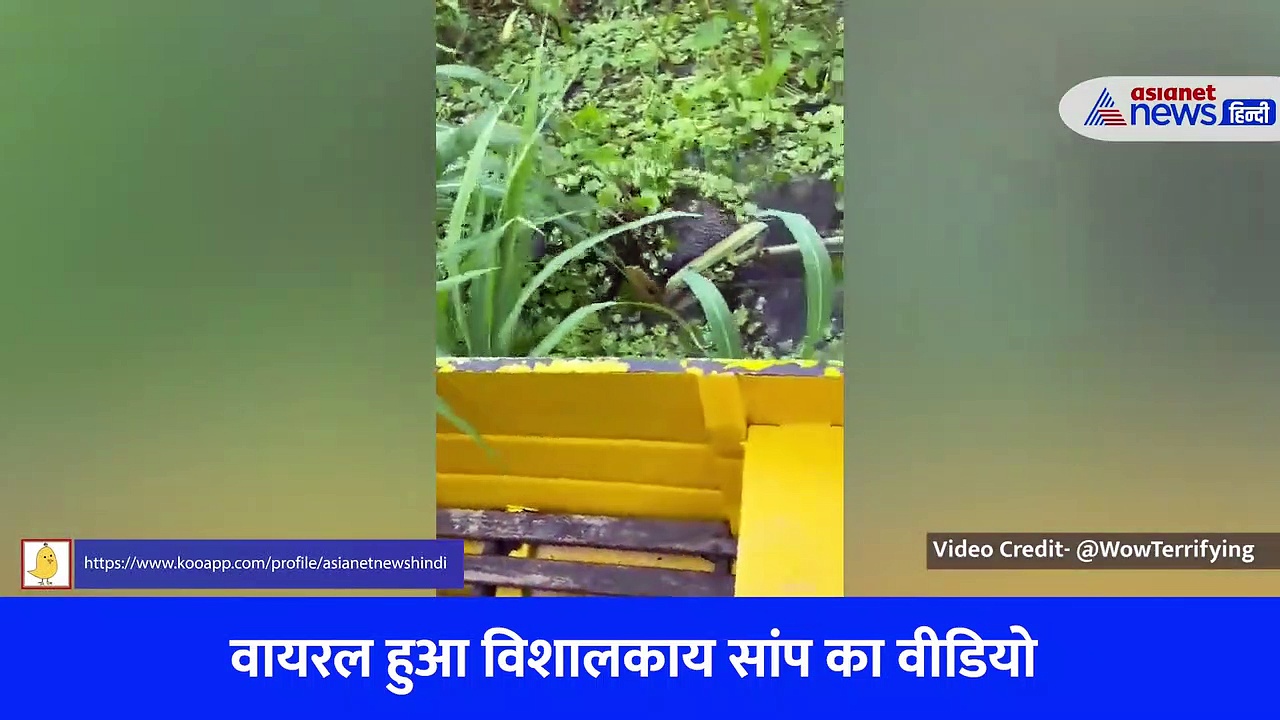 नाव के बगल से निकला सांप देख लोगों को आई एनाकोंडा की याद, रोंगटे खड़े कर देगा यह Viral Video