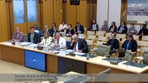 Senate estimates discuss uncovered text messages in relation to live ex
