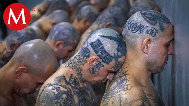 Un exintegrante de La Mara revela como el cártel De Sinaloa lo capacitó para enfrentar a los Zetas