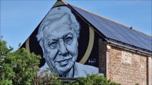Mural of Sir David Attenborough in St Leonards, East Sussex