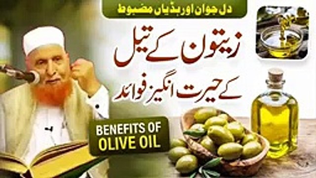 Zaitoon Ke Tel Ke Hairat Angez Faede _ Maulana Makki Al Hijazi _ Islamic Gro_144p