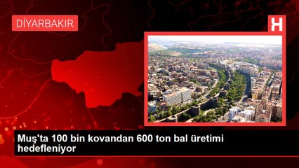 Muş'ta 100 bin kovandan 600 ton bal üretimi hedefleniyor