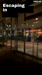 Escaping in Tokyo Odaiba bay part2