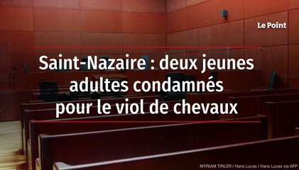 Saint-Nazaire : deux jeunes adultes condamnés pour le viol de chevaux