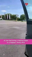 Kind Man Chooses Humanity Over Tip || Heartsome