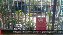 Antalya'da selfie çekmek için kafese giren aileye saldıran aslan, çocuğun saçlı derisini kopardı
