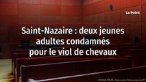 Saint-Nazaire : deux jeunes adultes condamnés pour le viol de chevaux