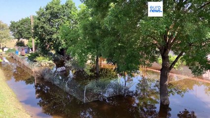 Новости дня | 24 мая — дневной выпуск