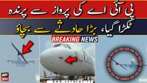PIA plane narrowly escapes accident