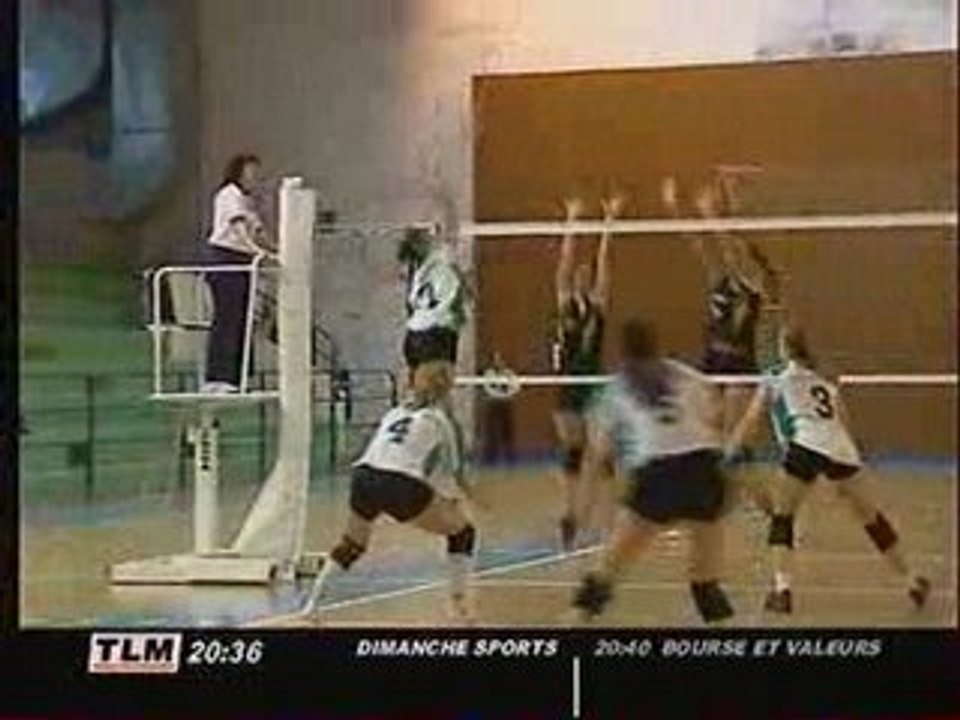 Equipe de volley Dardilly
