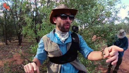 You'll NEVER guess how I caught this lizard!