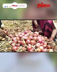 २ टन कांदा विकला, तरीही शेतकरी ढसढसा रडला