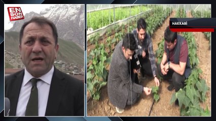 Irak sınırındaki Derecik, sera yatırımlarıyla bölgenin üretim üssü oluyor