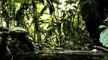 Crece la esperanza: hallan nuevas pistas de supervivencia de los niños en Guaviare