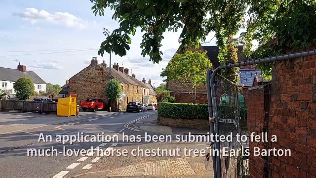 Earls Barton Horse Chestnut