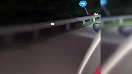 Bursa'da anayola inen ayı yanında yavaşlayan otomobile böyle saldırdı