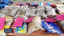 Polisi Tangkap WNA Asal PNG Bawa Ganja 8,3 Kilogram Masuk Jayapura