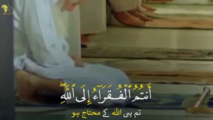 Quran Beautiful whatsapp status _ Islamic Whatsapp Status _ Quran with urdu tran (1)