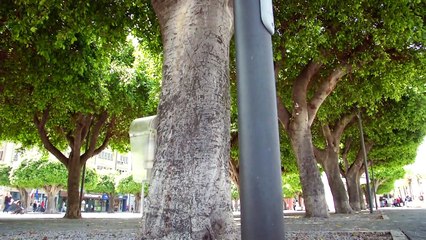 Due novità in cantiere per piazza Cairoli