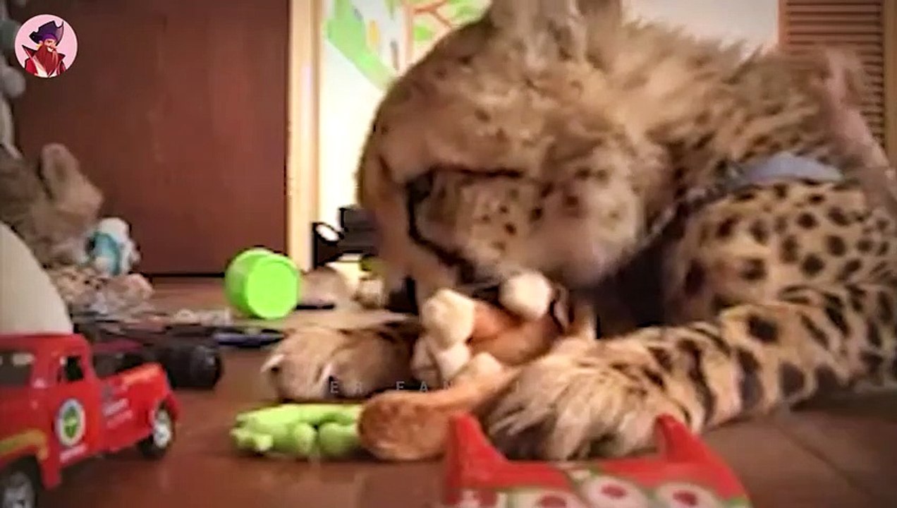 15 Erschreckende Wildtiere, Die Sich Mit Ihren Besitzern Verbünden