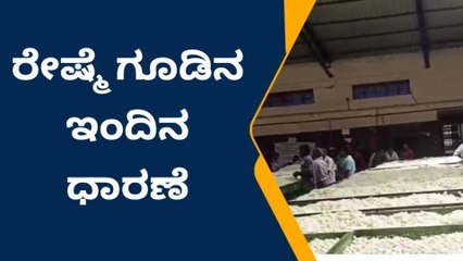 ದಿನದಿಂದ ದಿನಕ್ಕೆ ಹಾವು ಏಣಿ ಆಟ ಆಡುತ್ತಿದೆ ರೇಷ್ಮೆ ಗೂಡಿನ ಧಾರಣೆ!