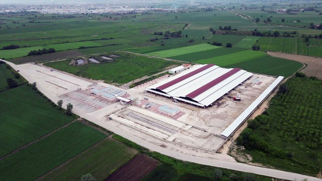 İnegöl Hayvan Pazarı'na kurbanlıklar gelmeye başladı