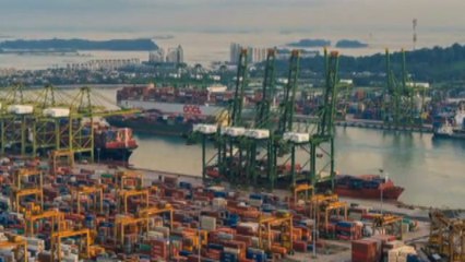 Cresce l'export italiano in Usa, vademecum legale per le imprese