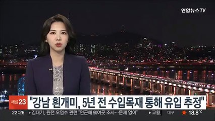 "강남 흰개미, 5년 전 수입목재 통해 유입 추정"