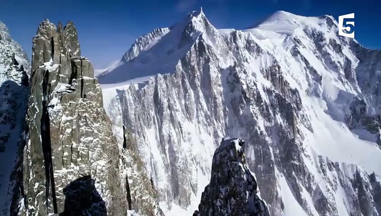 Aigle royal  le maître des Alpes - ZAPPING SAUVAGE