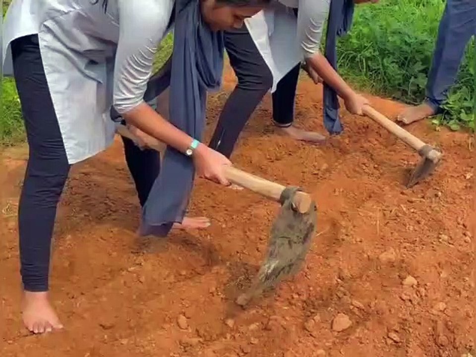कृषि में छात्राओं की रुचि बढ़ाने का प्रयास, चार साल में 84 हजार 583 छात्राएं लाभान्वित