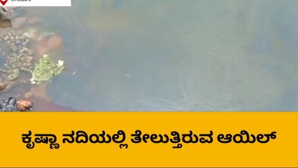 ತೇರದಾಳ : ಕೃಷ್ಣಾನದಿಯಲ್ಲಿ ಕಲುಷಿತ ನೀರು ಕಂಡು ಬೆಚ್ಚಿದ ಜನ!
