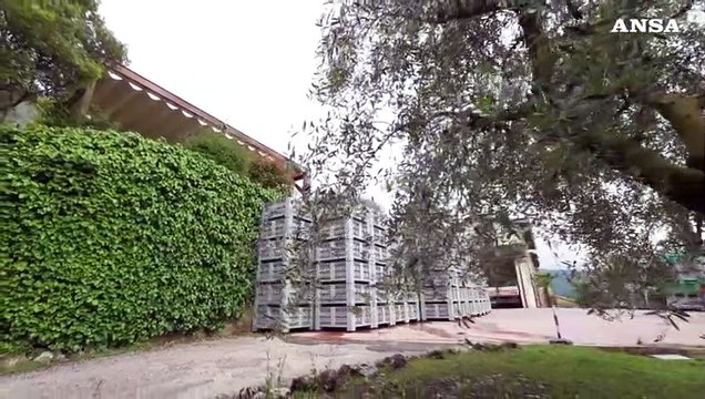 Dalla Monini lo Zefferino d'oro per incentivare chi produce olio