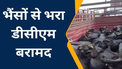 उन्नाव: पुलिस को बड़ी कामयाबी, पशु क्रूरता में तीन अभियुक्त गिरफ्तार