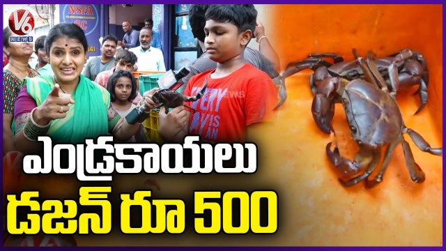 Lobster Selling At Ram Nagar Fish Market _ Teenmaar Chandravva _ V6 News (1)