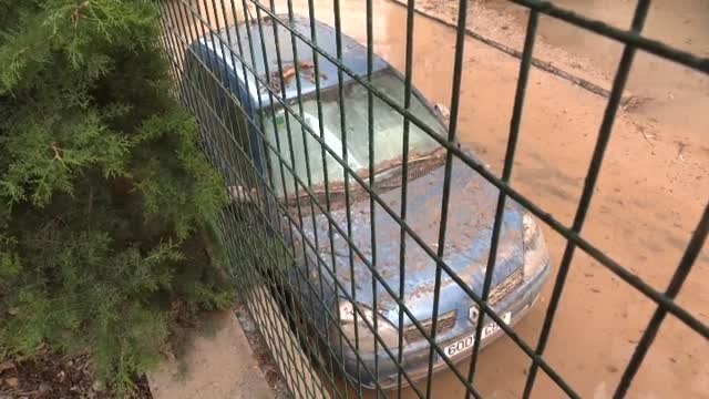 Las consecuencias de las lluvias: daños materiales y alivio en el campo