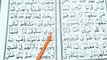 Learn Surah Al Baqarah Word by Word With Tajweed By Qari Muhammad Saleem - Learn Quran Easy Way