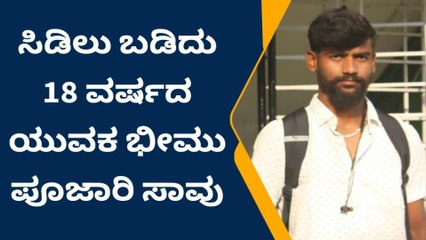 ಚಿತ್ತಾಪುರ: ಸಿಡಿಲು ಬಡಿದು 18 ವರ್ಷದ ಯುವಕ ಸಾವು