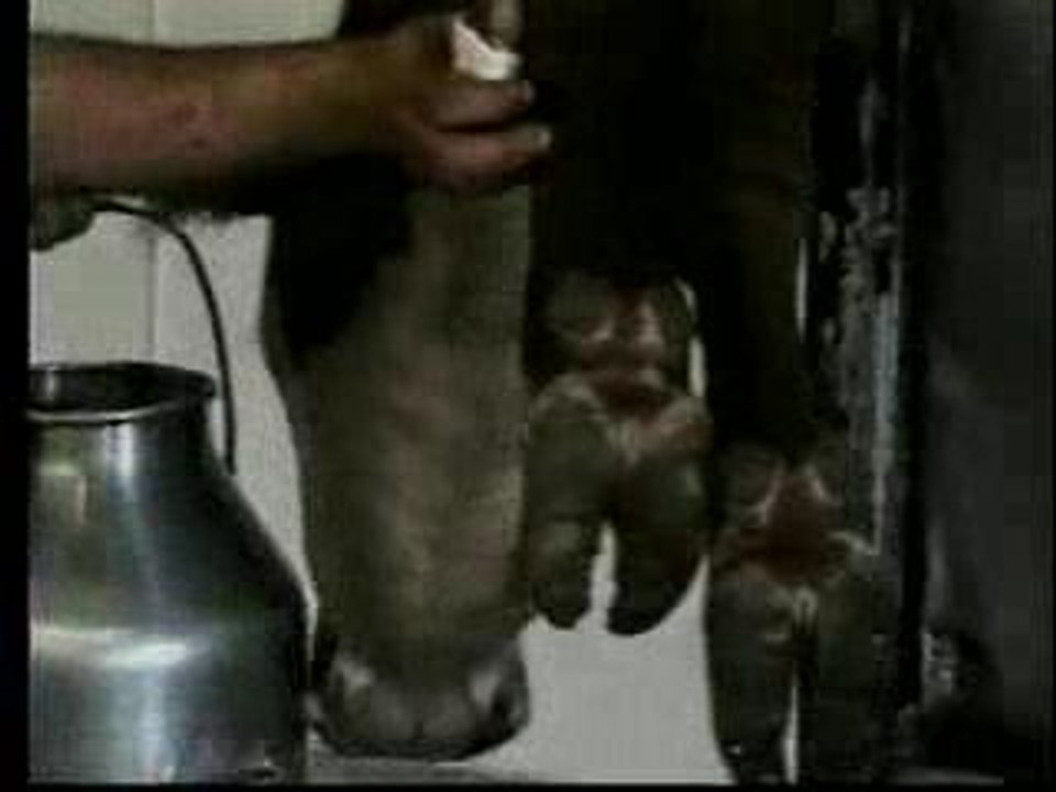 Meet_your_meat